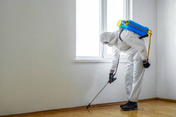 Best Residential Pest Control  in Neshanic Station, NJ