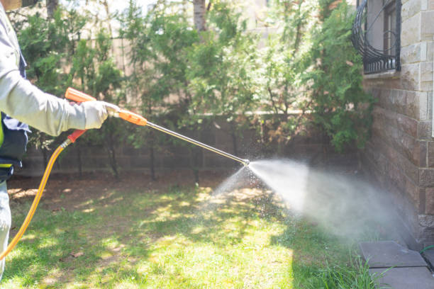 Best Ant Control Services  in Neshanic Station, NJ