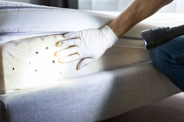 Best Emergency Pest Control  in Neshanic Station, NJ