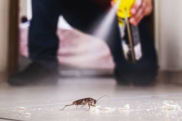 Best Pest Control Treatment  in Neshanic Station, NJ